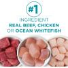 imagePurina ONE Grain Free Natural Pate Wet Cat Food Variety Pack Beef Chicken and Ocean Whitefish Recipes  2 Packs of 12 3 oz PullTop Cans
