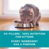 imagePurina ONE Grain Free Natural Pate Wet Kitten Food Healthy Kitten Chicken ampamp Salmon Recipe  Pack of 24 3 oz PullTop Cans
