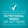 imagePurina ONE Grain Free Natural Pate Wet Kitten Food Healthy Kitten Chicken ampamp Salmon Recipe  Pack of 24 3 oz PullTop Cans