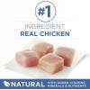 imagePurina ONE Grain Free Natural Senior Pate Wet Cat Food Vibrant Maturity 7 Chicken ampamp Ocean Whitefish Recipe  12 3 oz PullTop Cans