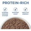 imagePurina ONE Grain Free Natural Senior Pate Wet Cat Food Vibrant Maturity 7 Chicken ampamp Ocean Whitefish Recipe  Pack of 24 3 oz PullTop Cans