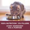 imagePurina ONE High Protein Dry Cat Food Plus Urinary Tract Health Formula  22 lb BagChicken  Dry Cat