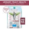 imagePurina ONE High Protein Dry Cat Food Plus Urinary Tract Health Formula  22 lb BagChicken  Dry Cat