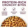imagePurina ONE High Protein Dry Cat Food Plus Urinary Tract Health Formula  7 lb Bag