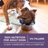 imagePurina ONE High Protein Dry Senior Dog Food Plus Vibrant Maturity Adult 7 Plus Formula  Pack of 4 4 lb Bags