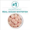 imagePurina ONE Indoor Natural High Protein Pate Wet Cat Food Indoor Advantage Ocean Whitefish ampamp Rice  24 3 oz PullTop CansOcean Whitefish