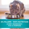 imagePurina ONE Indoor Natural High Protein Pate Wet Cat Food Indoor Advantage Ocean Whitefish ampamp Rice  24 3 oz PullTop CansOcean Whitefish