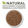imagePurina ONE Indoor Natural High Protein Pate Wet Cat Food Indoor Advantage Ocean Whitefish ampamp Rice  24 3 oz PullTop CansOcean Whitefish