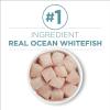 imagePurina ONE Indoor Natural High Protein Pate Wet Cat Food Indoor Advantage Ocean Whitefish ampamp Rice  24 3 oz PullTop CansOcean Whitefish