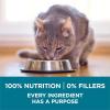 imagePurina ONE Natural Dry Cat Food Tender Selects Blend With Real Salmon  16 lb Bag