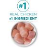 imagePurina ONE Natural Grain Free Wet Cat Food Pate Chicken Recipe  Pack of 24 3 oz PullTop CansChicken