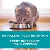 imagePurina ONE Natural Grain Free Wet Cat Food Pate Chicken Recipe  Pack of 24 3 oz PullTop CansClassic Beef Recipe