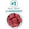 imagePurina ONE Natural Grain Free Wet Cat Food Pate Chicken Recipe  Pack of 24 3 oz PullTop CansClassic Beef Recipe