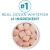 imagePurina ONE Natural Grain Free Wet Cat Food Pate Chicken Recipe  Pack of 24 3 oz PullTop CansOcean Whitefish Recipe