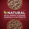 imagePurina ONE Natural Grain Free Wet Dog Food Variety Pack True Instinct Classic Ground  13 Ounce Pack of 6