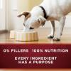 imagePurina ONE Natural Grain Free Wet Dog Food Variety Pack True Instinct Classic Ground  13 Ounce Pack of 6