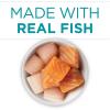 imagePurina ONE Natural High Protein Cat Food Tuna Recipe in Sauce  Pack of 24 3 oz PullTop CansSalmon  Trout Receipe