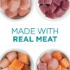 imagePurina ONE Natural High Protein Cat Food Variety Pack Chicken Tuna Salmon and Trout Recipes  Pack of 24 3 oz Cans