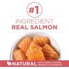 imagePurina ONE Natural Low Fat Indoor Dry Weight Control High Protein Cat Food Plus Indoor Advantage With Real Salmon  7 lb Bag7 Pound Pack of 1