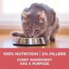 imagePurina ONE Natural Low Fat Indoor Dry Weight Control High Protein Cat Food Plus Indoor Advantage With Real Salmon  7 lb Bag7 Pound Pack of 1
