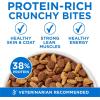 imagePurina ONE Plus High Protein Cat Food Dry Salmon and Ocean Whitefish Cat Skin and Coat Health Formula  35 lb Bag