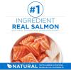 imagePurina ONE Plus High Protein Cat Food Dry Salmon and Ocean Whitefish Cat Skin and Coat Health Formula  35 lb Bag