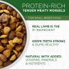 imagePurina ONE Plus Small Breed Lamb and Rice Formula Dry Dog Food  38 lb BagSmall Breed Bundle  ONE  Dentalife
