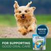 imagePurina ONE Plus Small Breed Lamb and Rice Formula Dry Dog Food  38 lb BagSmall Breed Bundle  ONE  Dentalife