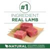 imagePurina ONE Plus Small Breed Lamb and Rice Formula Dry Dog Food  38 lb BagSmall Breed Lamb