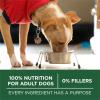 imagePurina ONE Plus Small Breed Lamb and Rice Formula Dry Dog Food  38 lb BagSmall Breed Lamb
