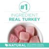 imagePurina ONE Sensitive Stomach Sensitive Skin Natural Dry Cat Food Plus Sensitive Skin and Stomach Formula  7 lb BagTurkey