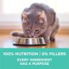 imagePurina ONE Sensitive Stomach Sensitive Skin Natural Dry Cat Food Plus Sensitive Skin and Stomach Formula  7 lb BagTurkey