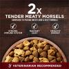 imagePurina ONE True Instinct With Real Salmon and Tuna Natural With Added Vitamins Minerals and Nutrients High Protein Dog Food Dry Formula  15 lb Bag