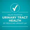 imagePurina ONE Urinary Tract Health Natural Pate Wet Cat Food Urinary Tract Health Beef ampamp Liver Recipe  Pack of 24 3 oz PullTop Cans