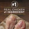 imagePurina ONE Wet Dog Food True Instinct Classic Ground GrainFree Formula With Real Chicken and Duck High Protein Dog Food  Pack of 12 13 oz Cans