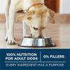 imagePurina One Plus Dry Dog Food for Large Adult Dogs High Protein Real Chicken  311 lb Bag