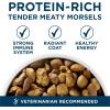 imagePurina One Plus Dry Dog Food for Large Adult Dogs High Protein Real Chicken  311 lb Bag