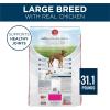 imagePurina One Plus Dry Dog Food for Large Adult Dogs High Protein Real Chicken  311 lb Bag