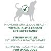imagePurina One Small Breed Plus HighProtein Dog Food Lamb and Rice Formula Dry Dog Food  74 lb BagSmall Breed Lamb