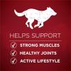 imagePurina One True Instinct Dry Dog Food Muscle ampamp Joint Support GrainFree Real Beef  125 lb Bag