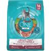 imagePurina ONE High Protein Dry Cat Food Plus Urinary Tract Health Formula  22 lb BagUrinary Tract Health  Chicken
