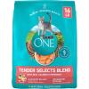 imagePurina ONE Natural Dry Cat Food Tender Selects Blend With Real Salmon  16 lb Bag