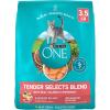 imagePurina ONE Natural Dry Cat Food Tender Selects Blend With Real Salmon  35 lb Bag