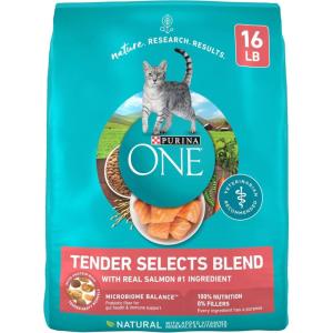 imagePurina ONE Natural Dry Cat Food Tender Selects Blend With Real Salmon  16 lb Bag