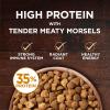 imagePurina ONE Natural High Protein Grain Free Dry Cat Food True Instinct With Real Chicken  63 lb BagChicken