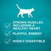 imagePurina ONE Natural High Protein Grain Free Dry Cat Food True Instinct With Real Chicken  63 lb BagHigh Protein Ocean Whitefish