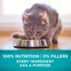 imagePurina ONE Natural High Protein Grain Free Dry Cat Food True Instinct With Real Chicken  63 lb BagHigh Protein Ocean Whitefish