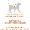imagePurina ONE High Protein Healthy Weight Plus Ideal Weigt With Chicken Dry Cat Food Wight Control Formula  16 lb Bag