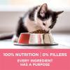 imagePurina ONE High Protein Natural Dry Kitten Food Plus Healthy Kitten Formula  7 lb BagKitten  Chicken