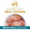 imagePurina ONE Natural Dry Cat Food Tender Selects Blend With Real Chicken  22 lb BagChicken